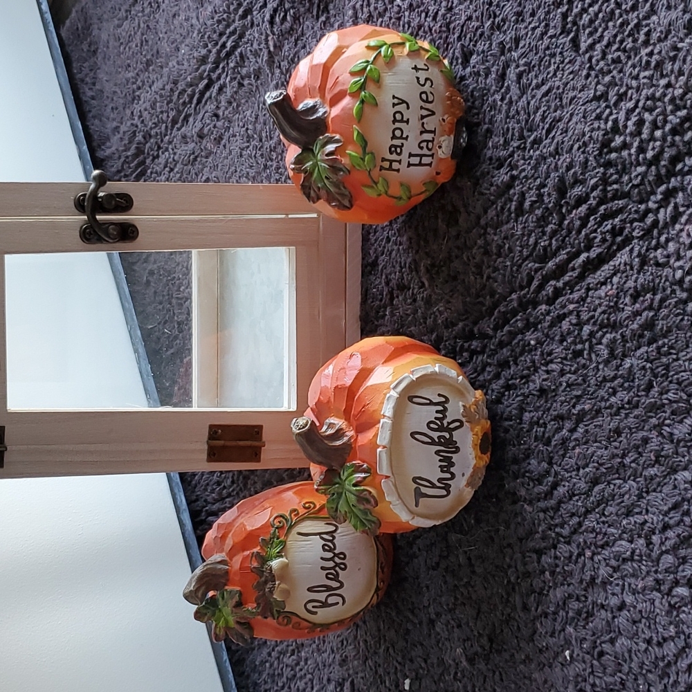 Set of 3 Harvest / Thanksgiving pumpkins